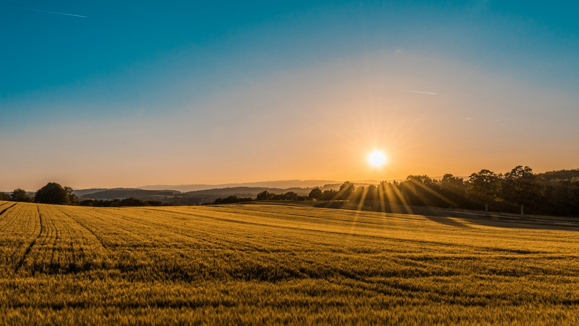 Farm field